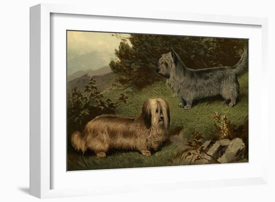 Skye Terriers-Vero Shaw-Framed Art Print