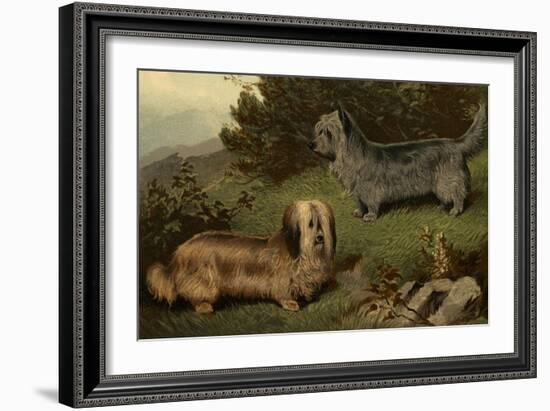 Skye Terriers-Vero Shaw-Framed Art Print
