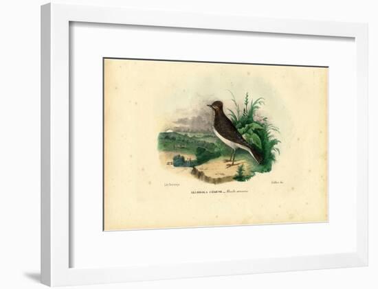 Skylark, 1863-79-Raimundo Petraroja-Framed Giclee Print