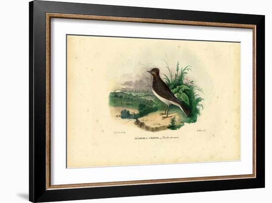 Skylark, 1863-79-Raimundo Petraroja-Framed Giclee Print