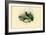 Skylark, 1863-79-Raimundo Petraroja-Framed Giclee Print