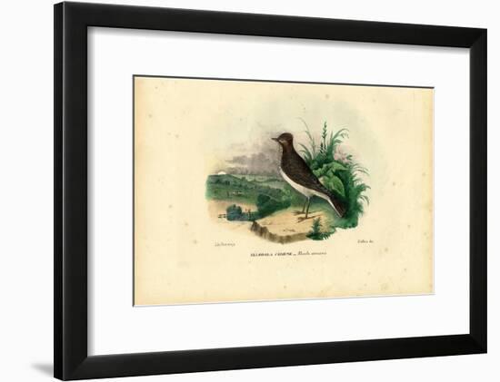 Skylark, 1863-79-Raimundo Petraroja-Framed Giclee Print