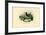 Skylark, 1863-79-Raimundo Petraroja-Framed Giclee Print