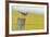 Skylark (Alauda Arvensis) Perched on a Fence Post, Vocalising, Balranald Reserve, Hebrides, UK-Fergus Gill-Framed Photographic Print