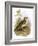 Skylark-English-Framed Giclee Print