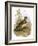 Skylark-English-Framed Giclee Print