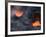 Skylight, Kilauea Volcano, Island of Hawaii (Big Island'-Ethel Davies-Framed Photographic Print