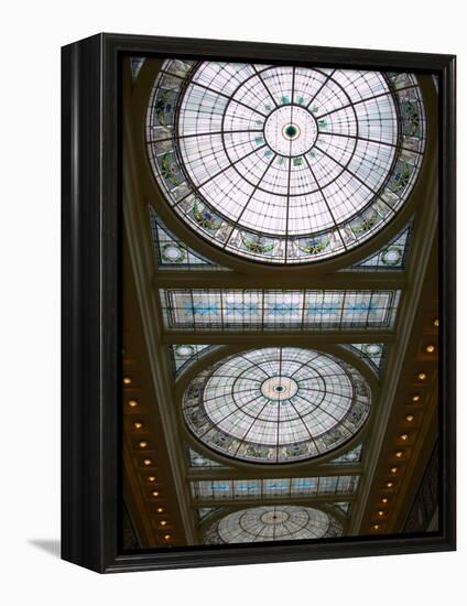 Skylights in Penn Station, Baltimore, Maryland, USA-Scott T^ Smith-Framed Premier Image Canvas