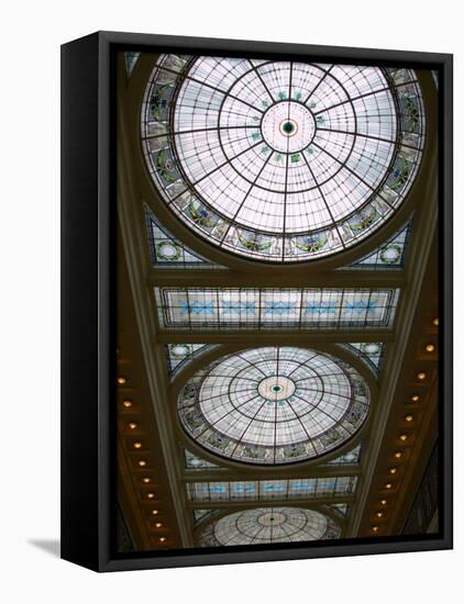 Skylights in Penn Station, Baltimore, Maryland, USA-Scott T^ Smith-Framed Premier Image Canvas