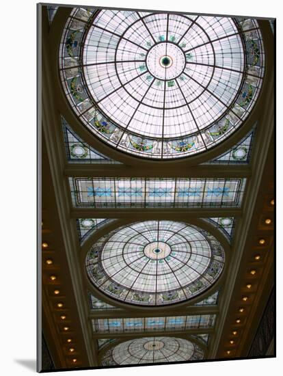 Skylights in Penn Station, Baltimore, Maryland, USA-Scott T^ Smith-Mounted Photographic Print