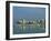 Skyline and Marina, San Antonio Bay, Ibiza, Balearic Islands, Spain, Mediterranean, Europe-Lightfoot Jeremy-Framed Photographic Print