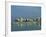 Skyline and Marina, San Antonio Bay, Ibiza, Balearic Islands, Spain, Mediterranean, Europe-Lightfoot Jeremy-Framed Photographic Print