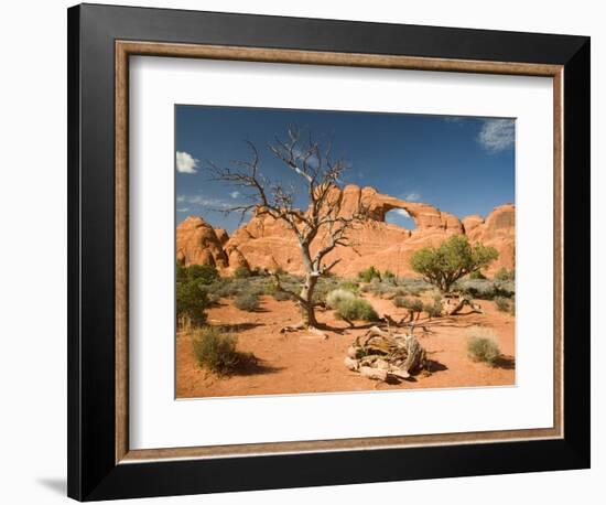 Skyline Arch, Arches National Park, Utah, USA-Jamie & Judy Wild-Framed Photographic Print