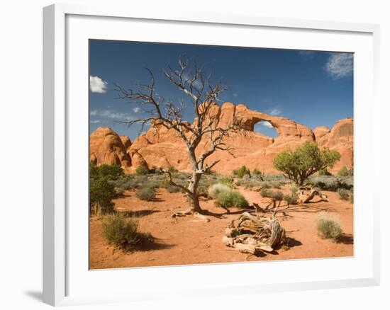 Skyline Arch, Arches National Park, Utah, USA-Jamie & Judy Wild-Framed Photographic Print