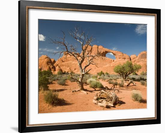 Skyline Arch, Arches National Park, Utah, USA-Jamie & Judy Wild-Framed Photographic Print