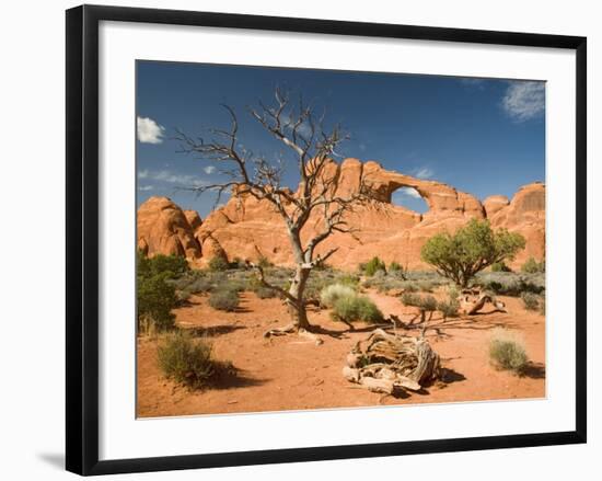 Skyline Arch, Arches National Park, Utah, USA-Jamie & Judy Wild-Framed Photographic Print