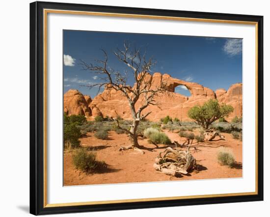 Skyline Arch, Arches National Park, Utah, USA-Jamie & Judy Wild-Framed Photographic Print