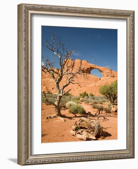 Skyline Arch, Arches National Park, Utah, USA-Jamie & Judy Wild-Framed Photographic Print