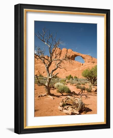 Skyline Arch, Arches National Park, Utah, USA-Jamie & Judy Wild-Framed Photographic Print