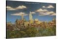 Stretched Canvas Print