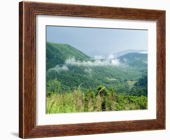 Skyline Drive, Shenandoah National Park, Virginia, USA-Ethel Davies-Framed Photographic Print