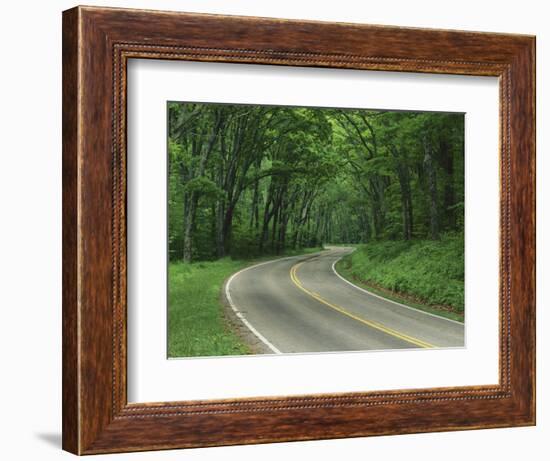 Skyline Drive, Shenandoah National Park, Virginia, USA-Charles Gurche-Framed Photographic Print