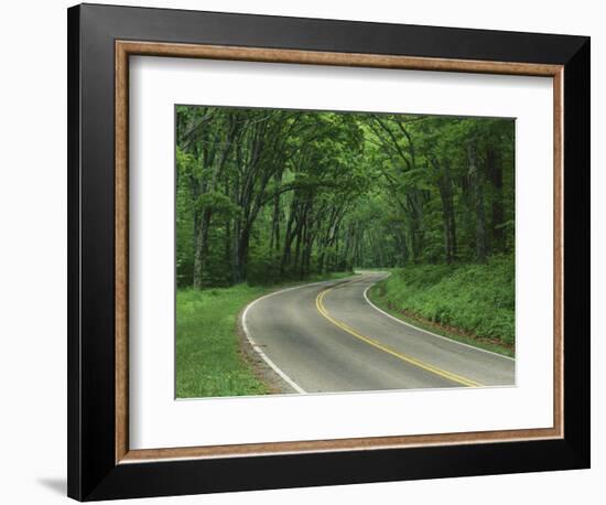 Skyline Drive, Shenandoah National Park, Virginia, USA-Charles Gurche-Framed Photographic Print