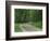 Skyline Drive, Shenandoah National Park, Virginia, USA-Charles Gurche-Framed Photographic Print