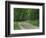 Skyline Drive, Shenandoah National Park, Virginia, USA-Charles Gurche-Framed Photographic Print