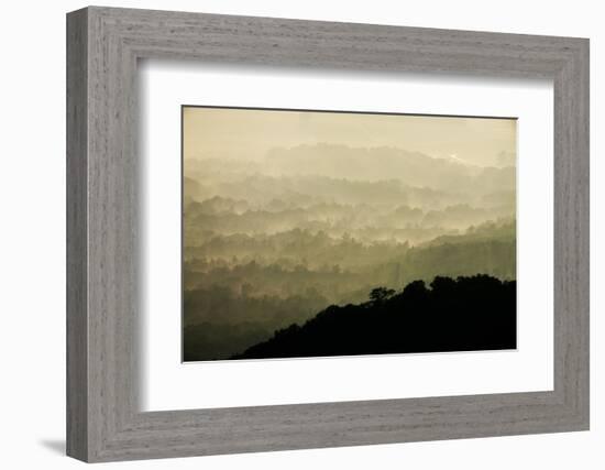 Skyline Drive, Shenandoah National Park, Virginia-null-Framed Photographic Print