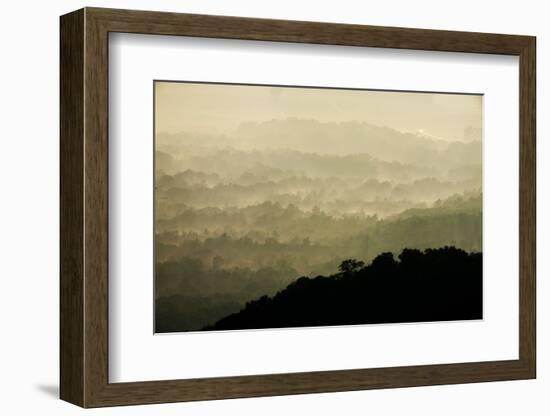 Skyline Drive, Shenandoah National Park, Virginia-null-Framed Photographic Print