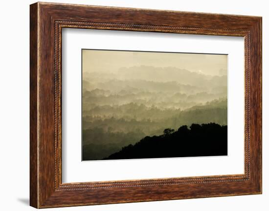 Skyline Drive, Shenandoah National Park, Virginia-null-Framed Photographic Print