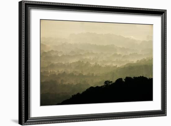 Skyline Drive, Shenandoah National Park, Virginia--Framed Photographic Print