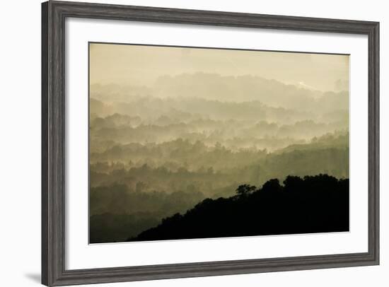 Skyline Drive, Shenandoah National Park, Virginia-null-Framed Photographic Print