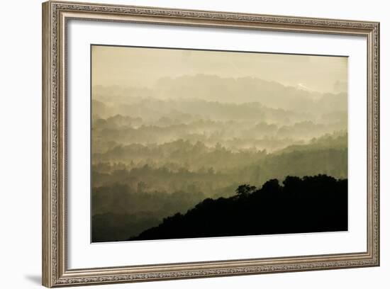 Skyline Drive, Shenandoah National Park, Virginia-null-Framed Photographic Print