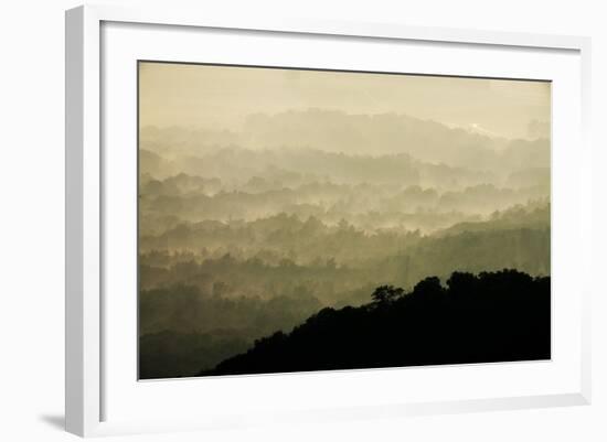 Skyline Drive, Shenandoah National Park, Virginia-null-Framed Photographic Print