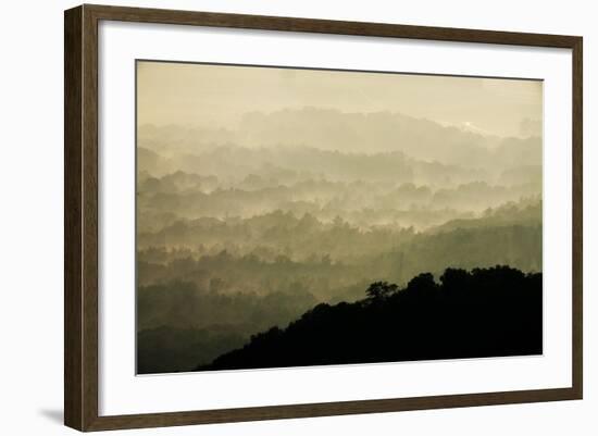 Skyline Drive, Shenandoah National Park, Virginia-null-Framed Photographic Print