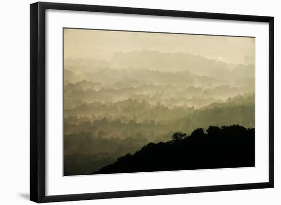 Skyline Drive, Shenandoah National Park, Virginia-null-Framed Photographic Print