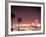Skyline from the Park at Long Beach Harbor, Long Beach, California, USA-Brent Bergherm-Framed Photographic Print