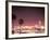 Skyline from the Park at Long Beach Harbor, Long Beach, California, USA-Brent Bergherm-Framed Photographic Print