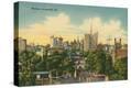 Stretched Canvas Print
