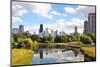 Skyline of Chicago from Northside Looking South towards the City-soupstock-Mounted Photographic Print