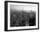 Skyline of Midtown Manhattan, NYC-Vadim Ratsenskiy-Framed Giclee Print