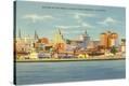 Stretched Canvas Print