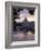 Skyline of St. Peter's from Ponte Umberto, Rome, Lazio, Italy-Adam Woolfitt-Framed Photographic Print