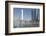 Skyscraper Adnoc Headquarters, 342 M, Abu Dhabi, United Arab Emirates, Middle East-Bruno Barbier-Framed Photographic Print