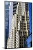 Skyscrapers in downtown New York City, NY, USA-Julien McRoberts-Mounted Photographic Print