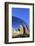 Skyscrapers Reflecting in the Cloud Gate Sculpture, Millennium Park, Chicago, Illinois, USA-Amanda Hall-Framed Photographic Print