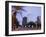 Skyscrapers Viewed from Jacome Plaza, Tucson, Arizona, United States of America, North America-Richard Cummins-Framed Photographic Print