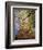 Skyward View of Autumn Colors, Kentucky, USA-Adam Jones-Framed Photographic Print